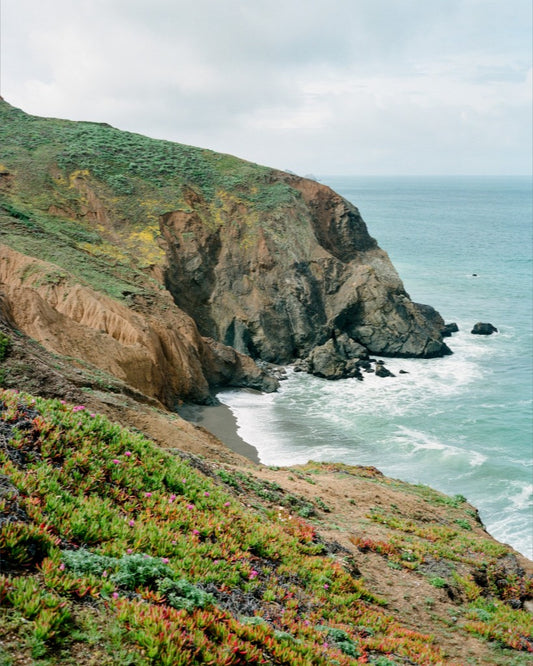 Mori Point Coast